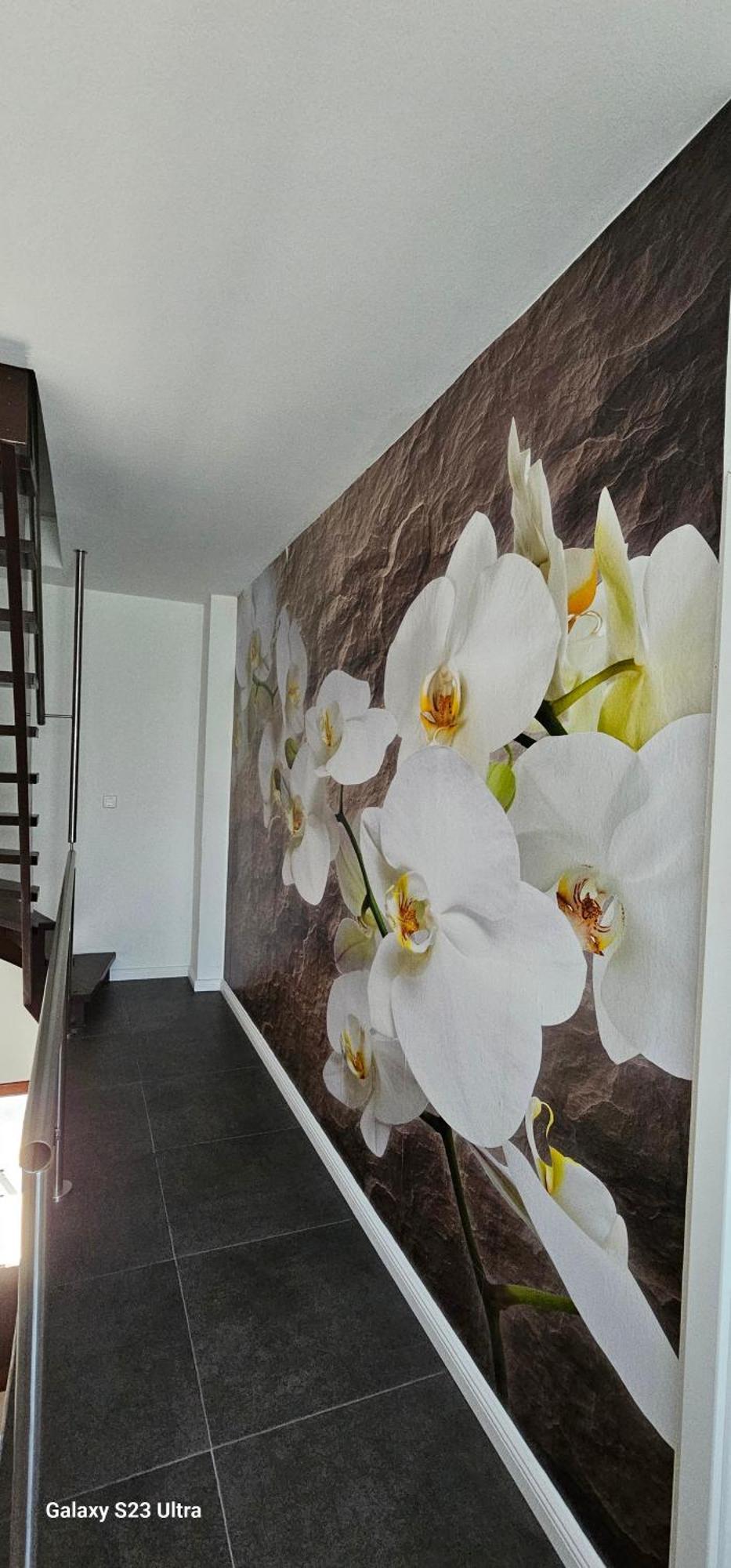 Gaestehaus Orchidee Hoya Εξωτερικό φωτογραφία